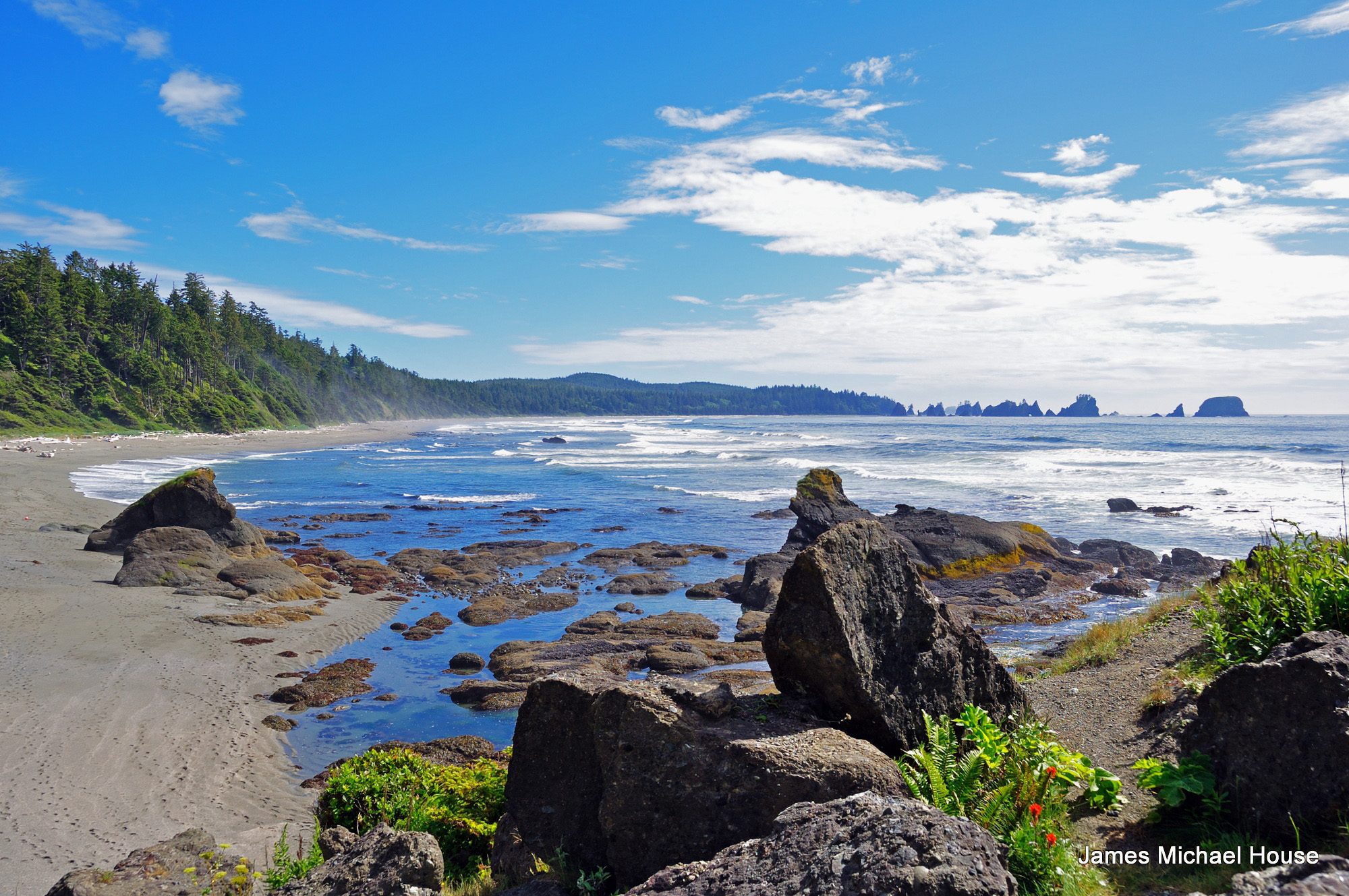 Shi Shi Beach